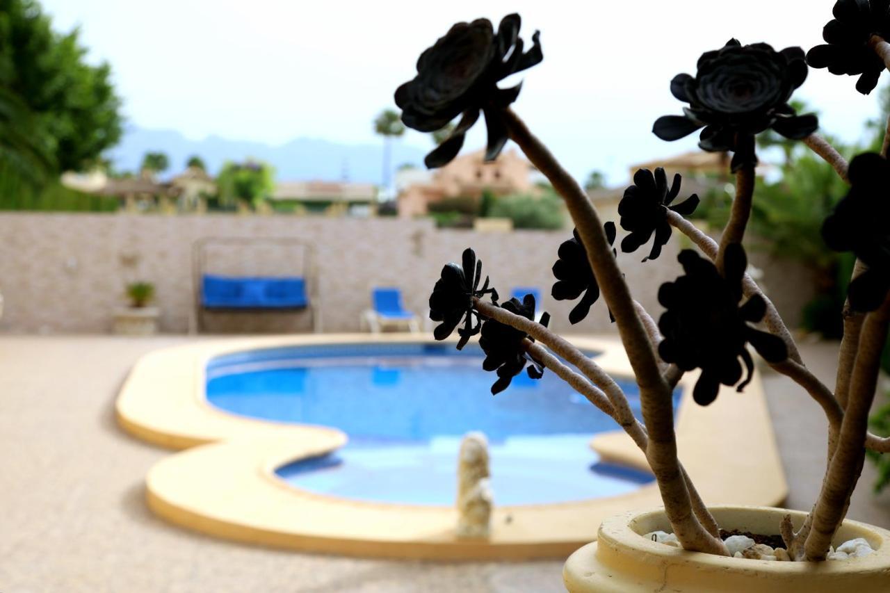 Villa Tres Palmeras En Alfaz Del Pi , Albir, Benidorm L'Alfas del Pi Luaran gambar